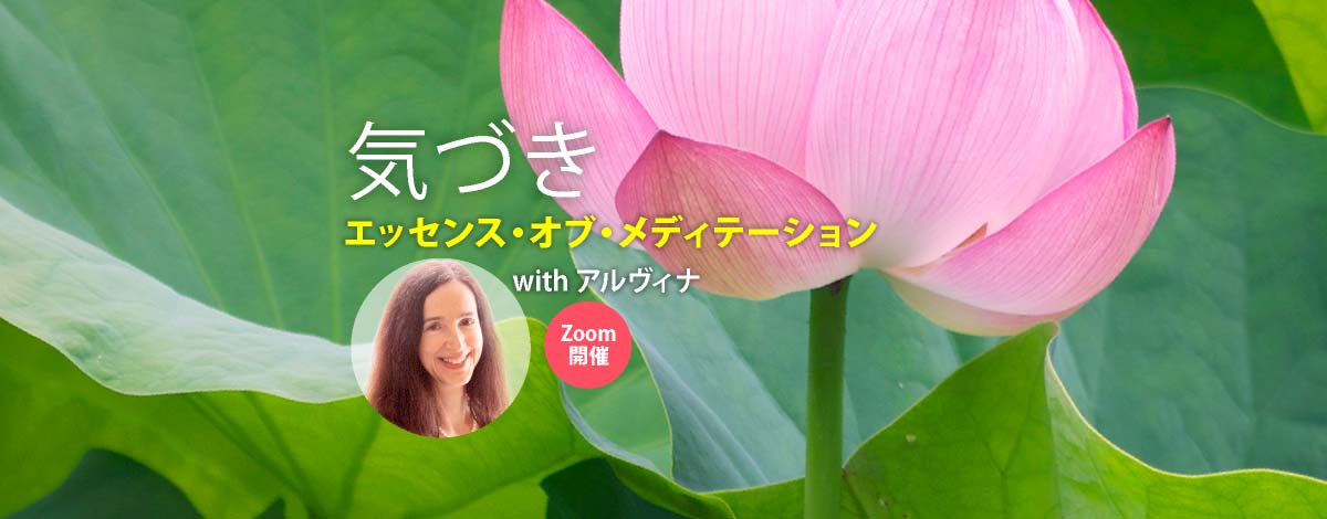 気づき – the Essence of Meditation